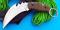 ɳĮɫG10ͦ߼צӒPPs Karambit Knife claw AIצS X3229