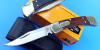 ƻľԶᒰͿ110۵ԵBUCK 110Sl X3958
