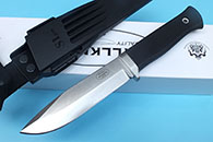 ǿҰsĵһѩɽеľ˳ǿ߭Ӓʾo
