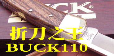 �۵�֮��BUCK110